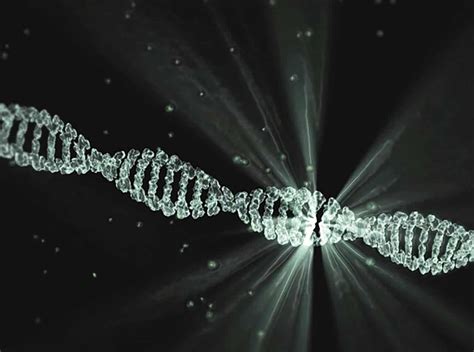 What is DNA: the blueprint of life