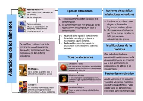 Alteraciones De Los Alimentos Denisse Rubio UDocz