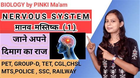 क्या आप जानते हैं कि हमारा मस्तिष्क कैसे काम करता है 😳😳 तंत्रिका तंत्र मानव मस्तिष्क 🔥🔥🔥🔥