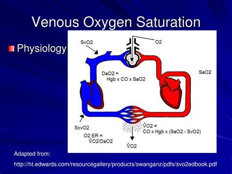 What Is Saturation In Physiology