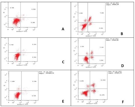 Apoptosis Assay Results Of Hepg Cells Treated With Different Exposure