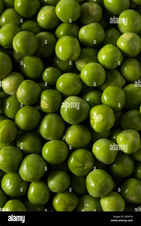 Raw Green Organic English Peas In A Bowl Stock Photo Alamy