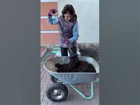 Гортезія - YouTube
