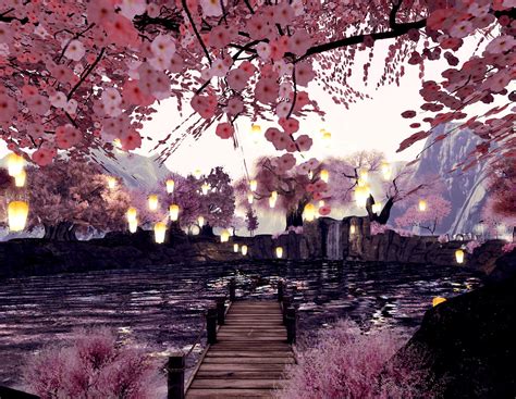 Cherry Blossom Cove A Fotilla Of Lanterns Visit This Loc Flickr