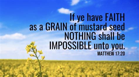 What Exactly Is Mustard Seed Faith Part Expedition Of The Soul