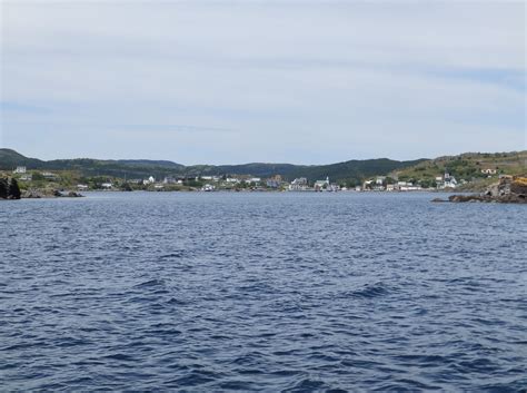 Northern Exposure 2013: Trinity Bay, Eastern Newfoundland