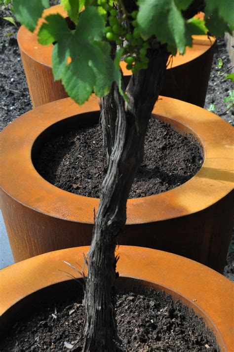 Corten Steel Cylinder Planters From Uk