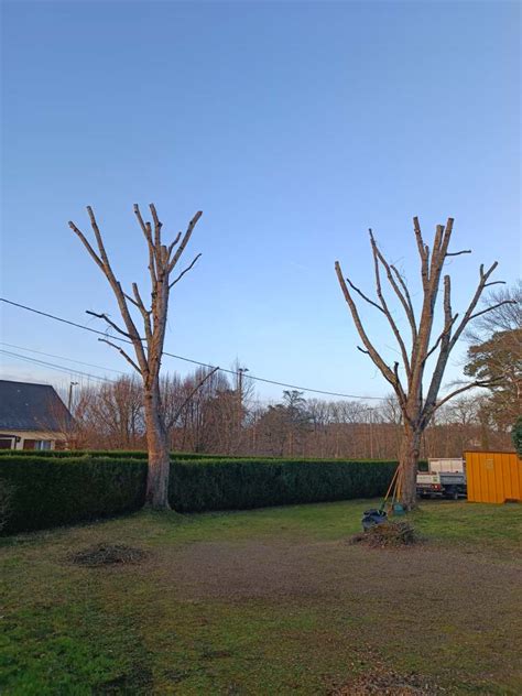 Réalisations Jardins en Vallée Paysagiste Argenton sur Creuse