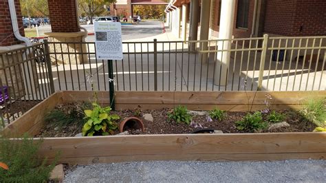 Outdoor Learning Station Box Turtle Habitat Awf Turtle Habitat