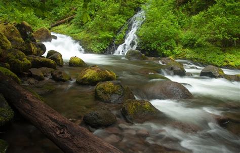 Обои лес камни водопад Орегон бревно Oregon Columbia River река