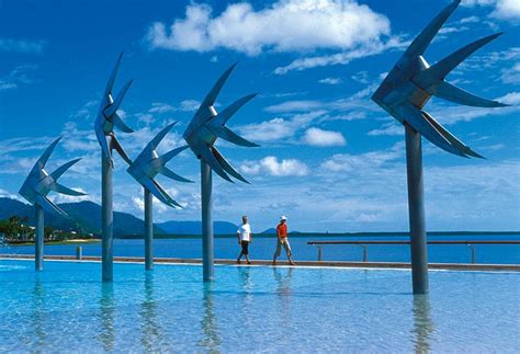 Things To Do In Cairns City Centre | Cairns Zoom & Wildlife Dome