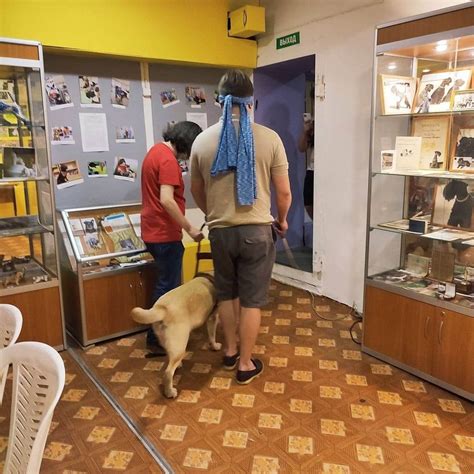 Музей собаки — Pet-Trips