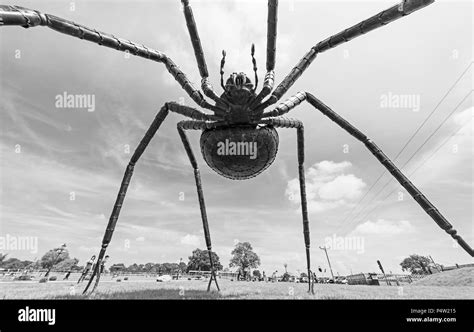 Giant spider sculpture on display at the British Iron Work Centre tourist attraction Stock Photo ...