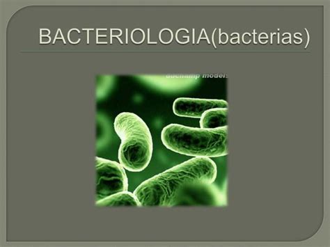 Bacteriologia Bacterias Ppt