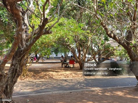 Fort Kochi Coastal Area In Kerala India Stock Photo - Download Image Now - Beach, Chinese ...