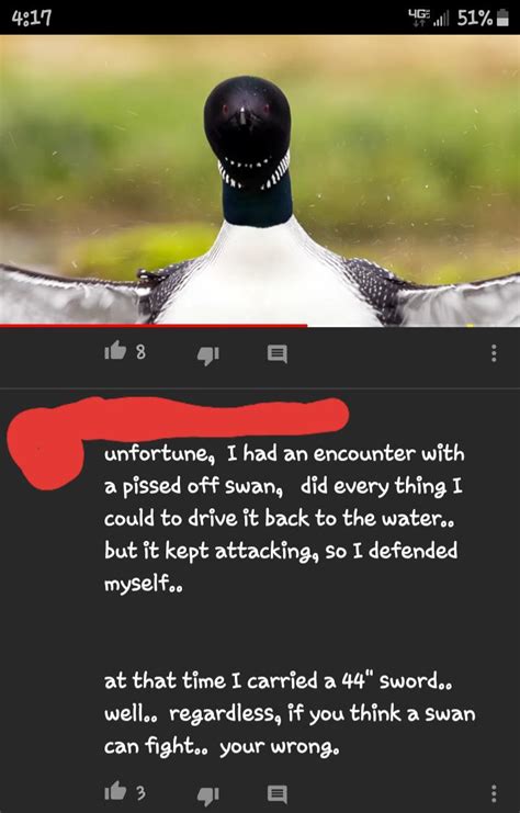 This was a comment on 10 deadliest birds : r/iamverybadass