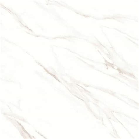 Bedrosians Shandar Square 48 In X 48 In Polished Statuario Super