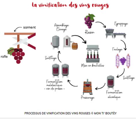 En Quoi Consiste Le Travail De Vinification