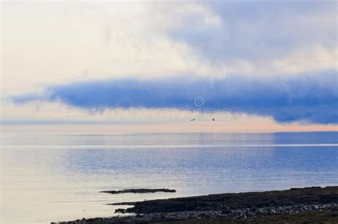 Water Clouds And 2 Birds In Flight Stock Image Image Of Nature