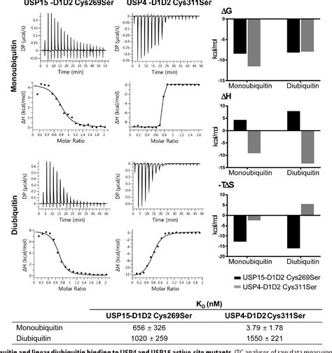 Figure From The Structure Of The Deubiquitinase Usp Reveals A