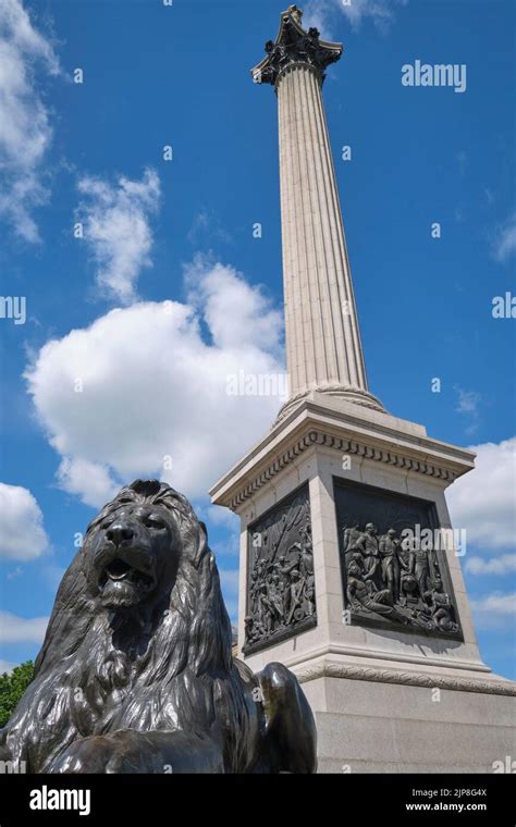 A Bronze Lion And The Famous Nelson Column Dedicated To Vice Admiral