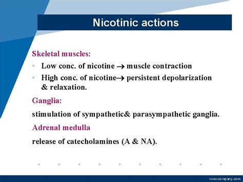 Autonomic Nervous System Cholinergic Agonists Cholinomimetics Ph D