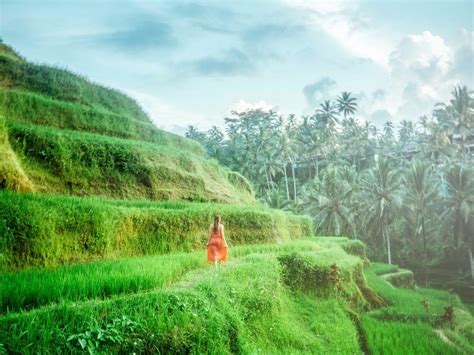 Filipinas Malasia E Indonesia Descubriendo El Sudeste Asi Tico