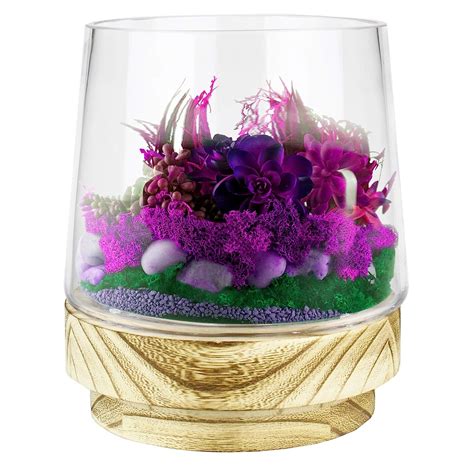 Cys Excel Glass Terrarium Container Pot H7 W6 Multiple Size