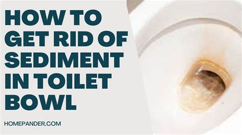 How To Get Rid Of Sediment In Toilet Bowl Solution And Prevention Youtube