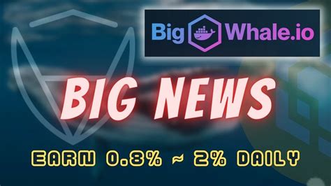 Big Whale Io Big News Certik Bnb Daily Bigwhale Io Youtube