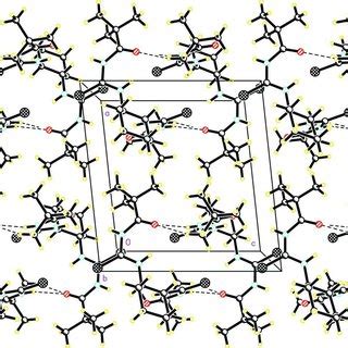 Packing Diagram Of The Title Compound Viewed Down The B Axis The