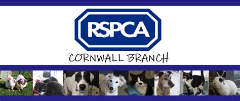 Rspca Volunteers Volunteer Cornwall Crm