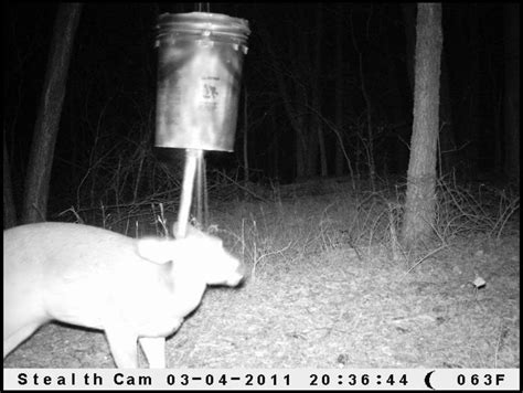 Homemade Deer Feeders 5 Gallon Bucket Homemade Ftempo