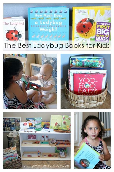 The Best Ladybug Books for Kids - Living Montessori Now