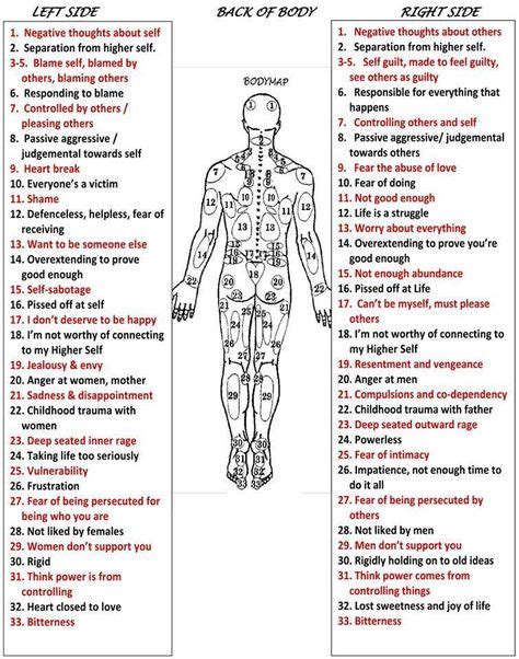 27 Anatomy Ideas Anatomy Massage Therapy Anatomy And Physiology