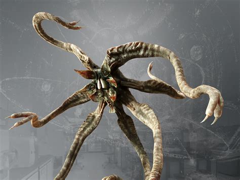 3d Model Trilobite Prometheus Vr Ar Low Poly Rigged Cgtrader