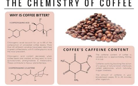 Coffee Bean Chemical Composition Coffee Plantations