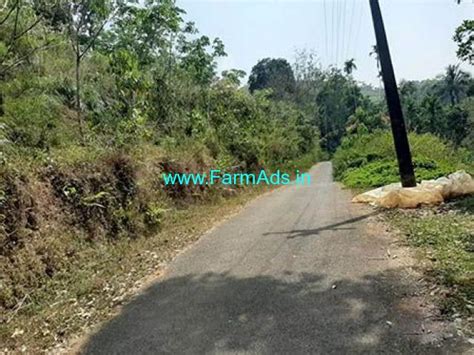 8 Acre Agriculture Land For Sale Near Mananthavady Wayanad FarmAds In