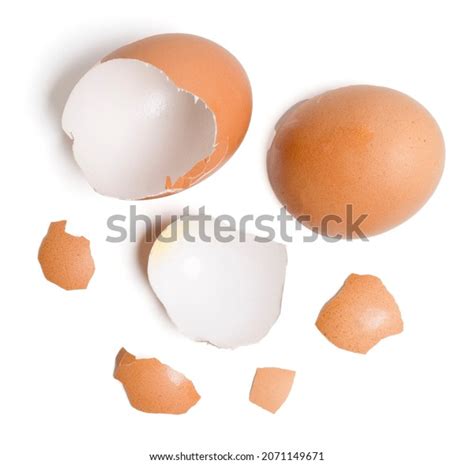 Best Egg Shell Pieces Royalty Free Images Stock Photos And Pictures