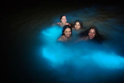 Luminous Lagoon Night Cruise Jamaica Quest Tours