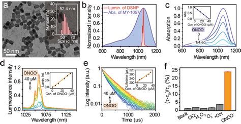 Characterization Of Luminescencelifetime Nanosensor And In Vitro ONOO