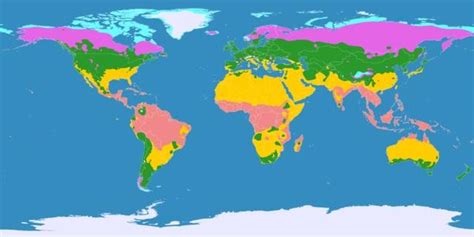 Clima Temperado Características Tipos Plantas E Fauna