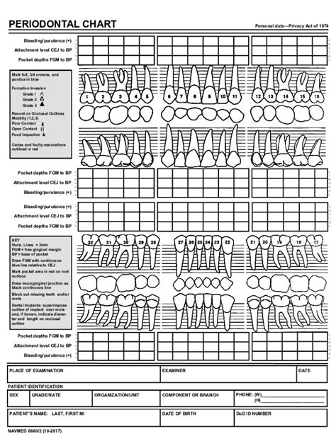 Fillable Online Periodontal Chart Fax Email Print Pdffiller