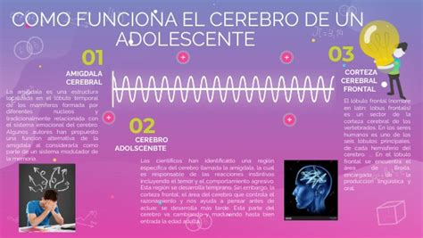 Como Funciona El Cerebro De Un Adolescente