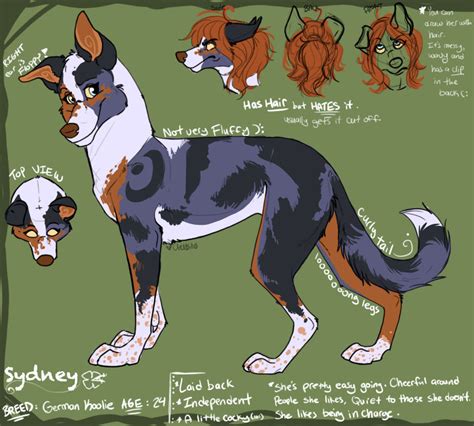 Sydney Ref By Chib Bee On Deviantart