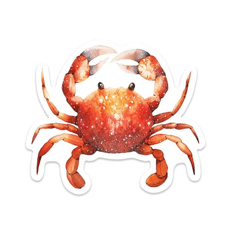 Crab Vinyl Sticker Crab Vinyl Decal Sticker Tumbler Cup Etsy