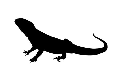 Bearded Dragon Silhouette Svg Cut File By Creative Fabrica Crafts