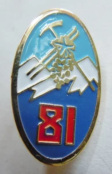 81 RIA Régiment Infanterie Alpine PINS insigne boutonnière original