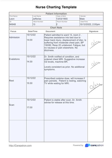 Sample Charting For Nurses