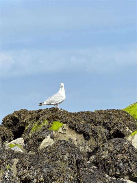 15 Best Beaches in New England (pictures) - Suburbs 101